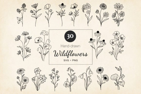 Download Minimal Wildflowers Set SVG, EPS, PNG - Flower Collection