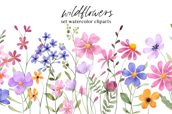 Download Floral Watercolor Set, Flowers, Leaves. - Flower Collection